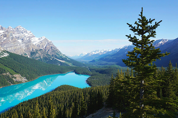 Karrimor SF: Built for the Canadian Wilderness
